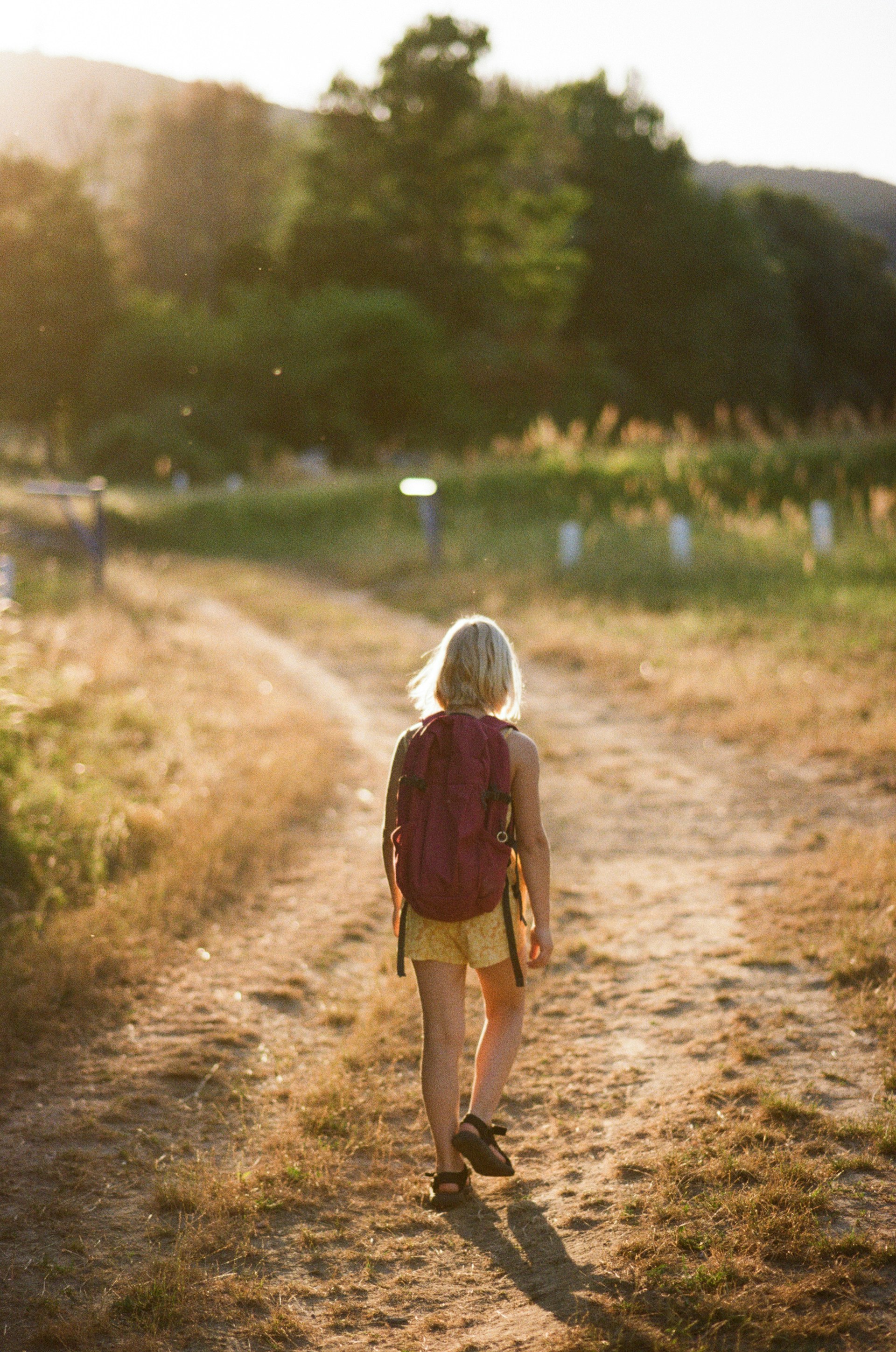 A young child with blonde hair and a maroon backpack walks away from the camera down a sunny, dusty dirt path surrounded by trees and tall grass.